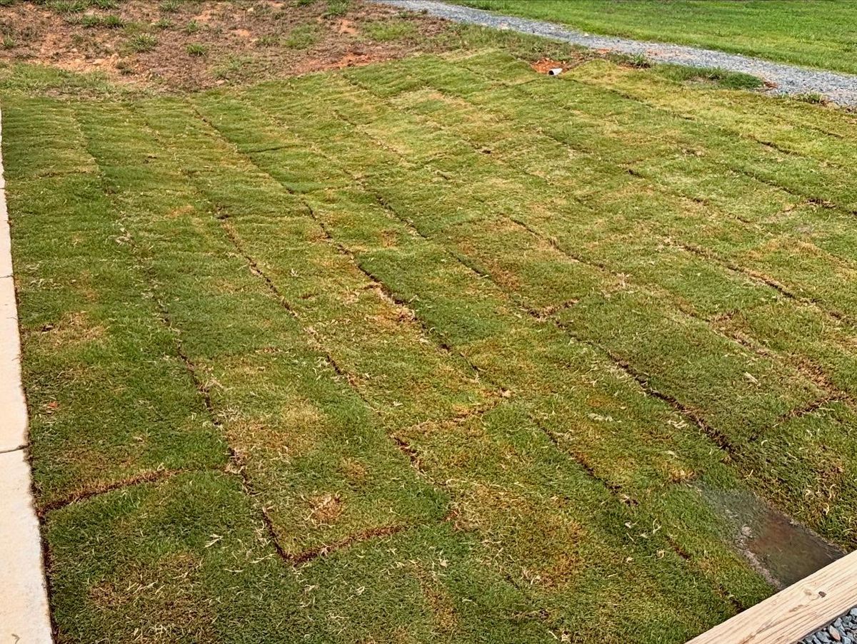 Sod Install for Grandview Lawn Care in Norwood, NC