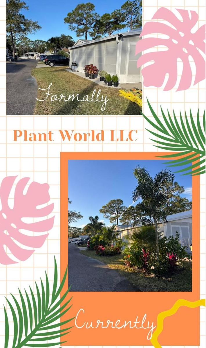 Pavers for Plant World LLC in Cape Coral, FL