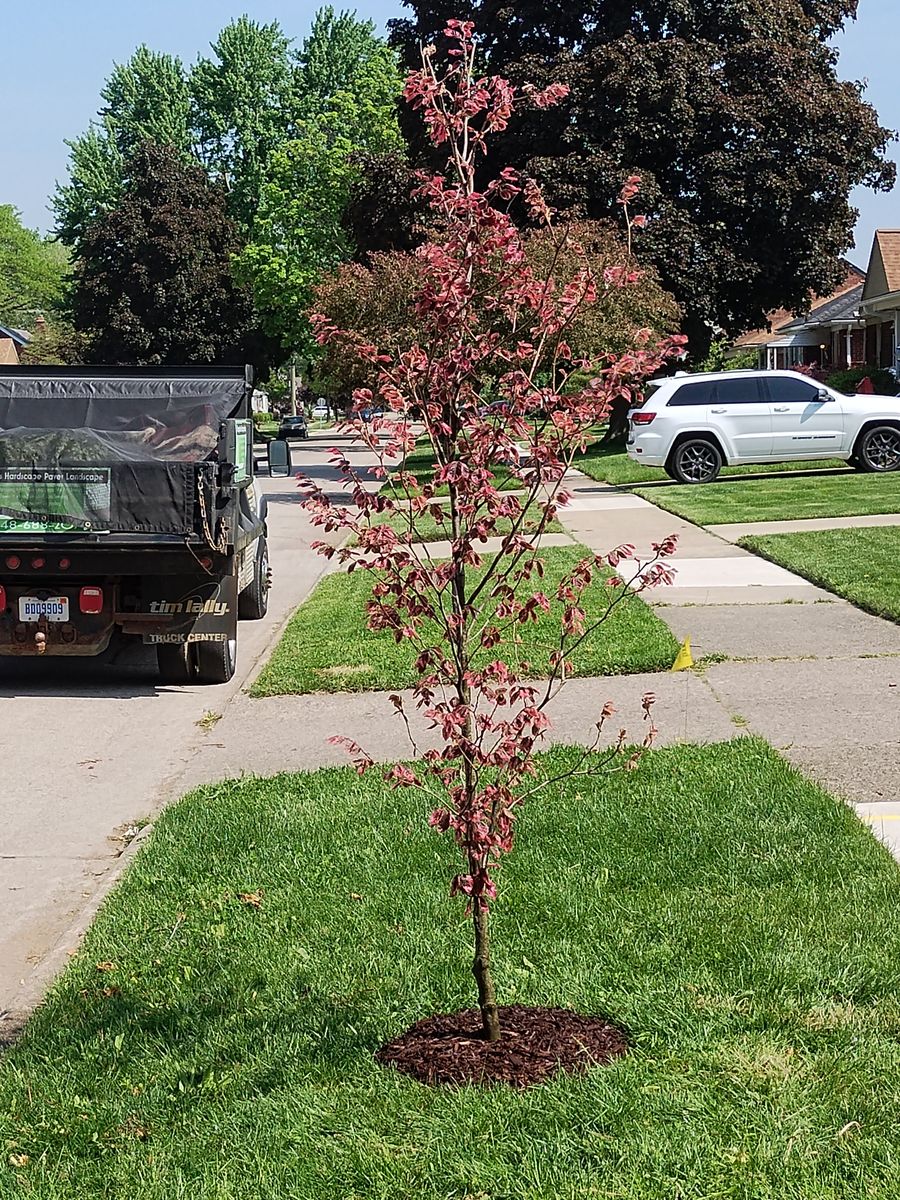 Landscape Installation for Humphries Hardscape - Pavers and Landscaping in Wyandotte, MI