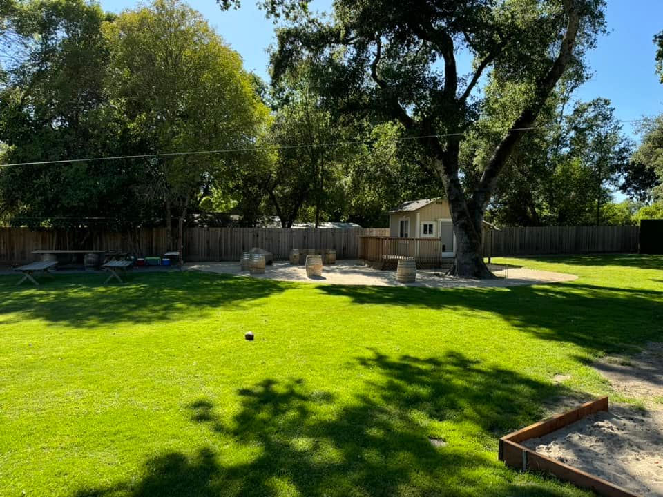 Landscape Construction for Ren Levine Construction in Novato, CA