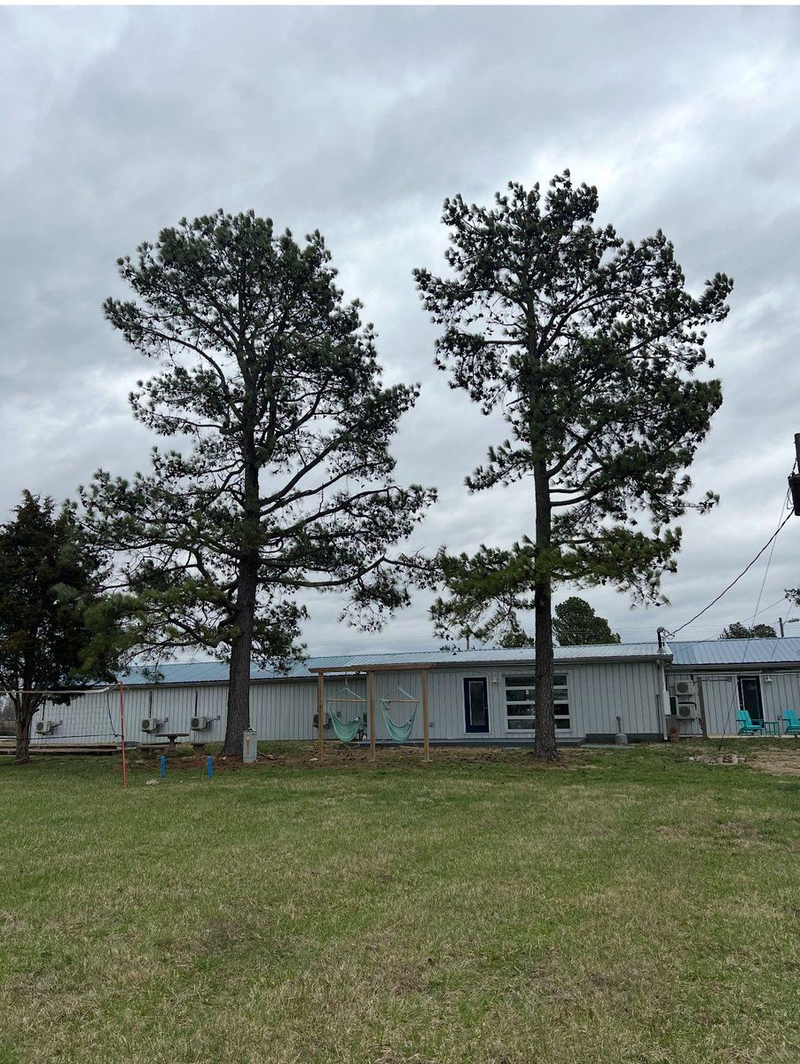 Tree Trimming for Greenskeeper Property Management in Elizabethtown, KY