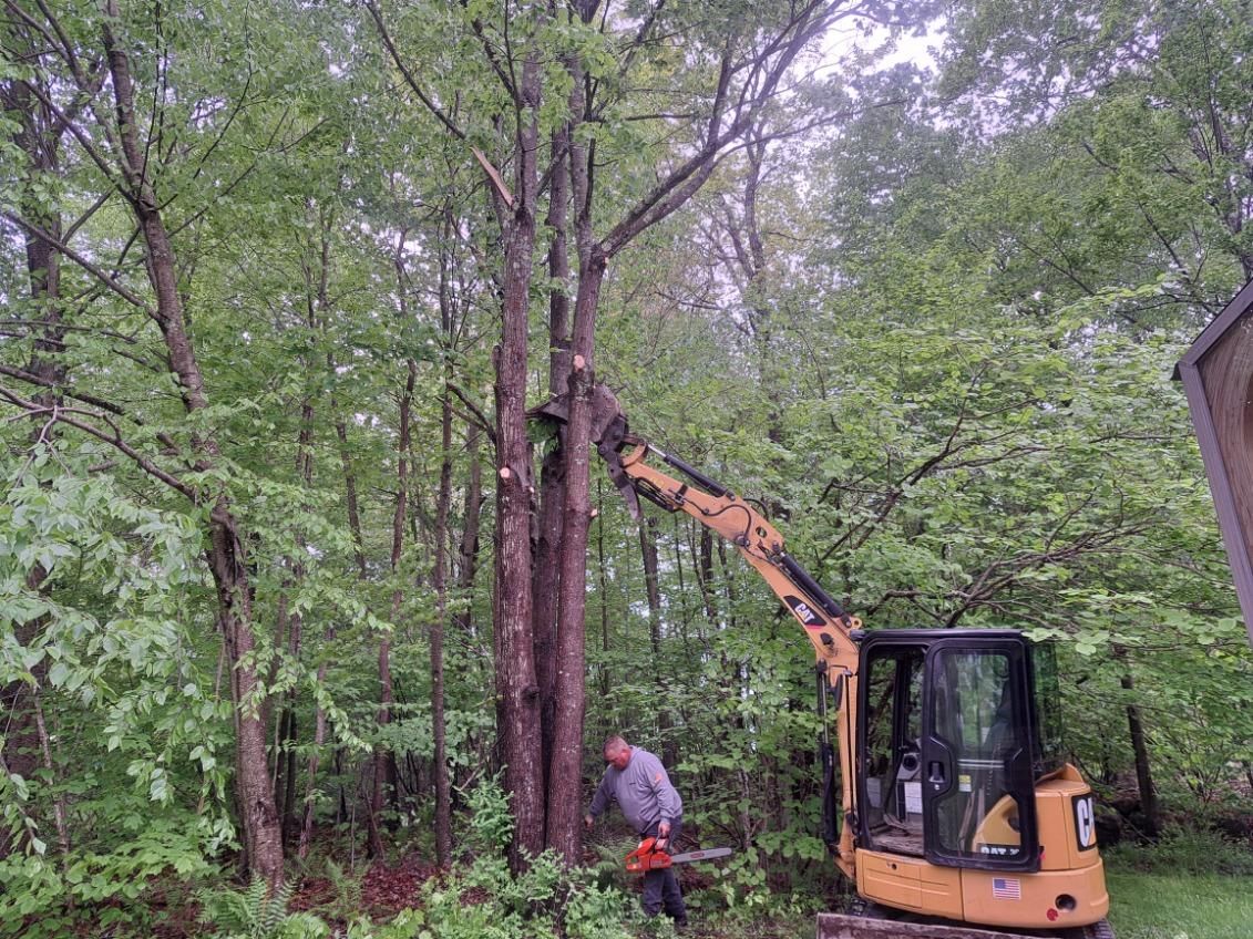 Skid Steer Work for Divine Dirt Work in Worcester, MA