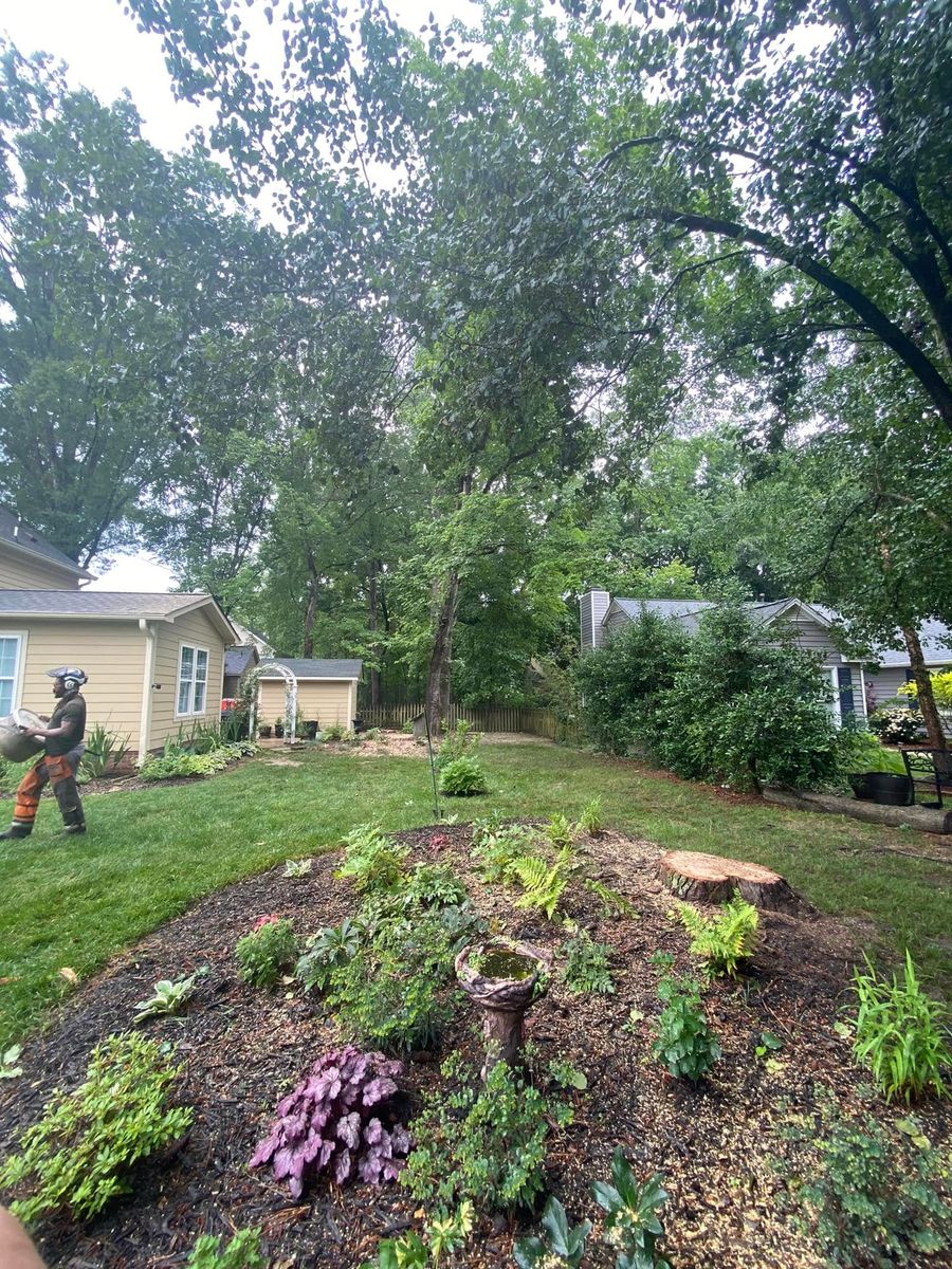 Tree Trimming for MTJ Tree Removal LLC in Zebulon, NC