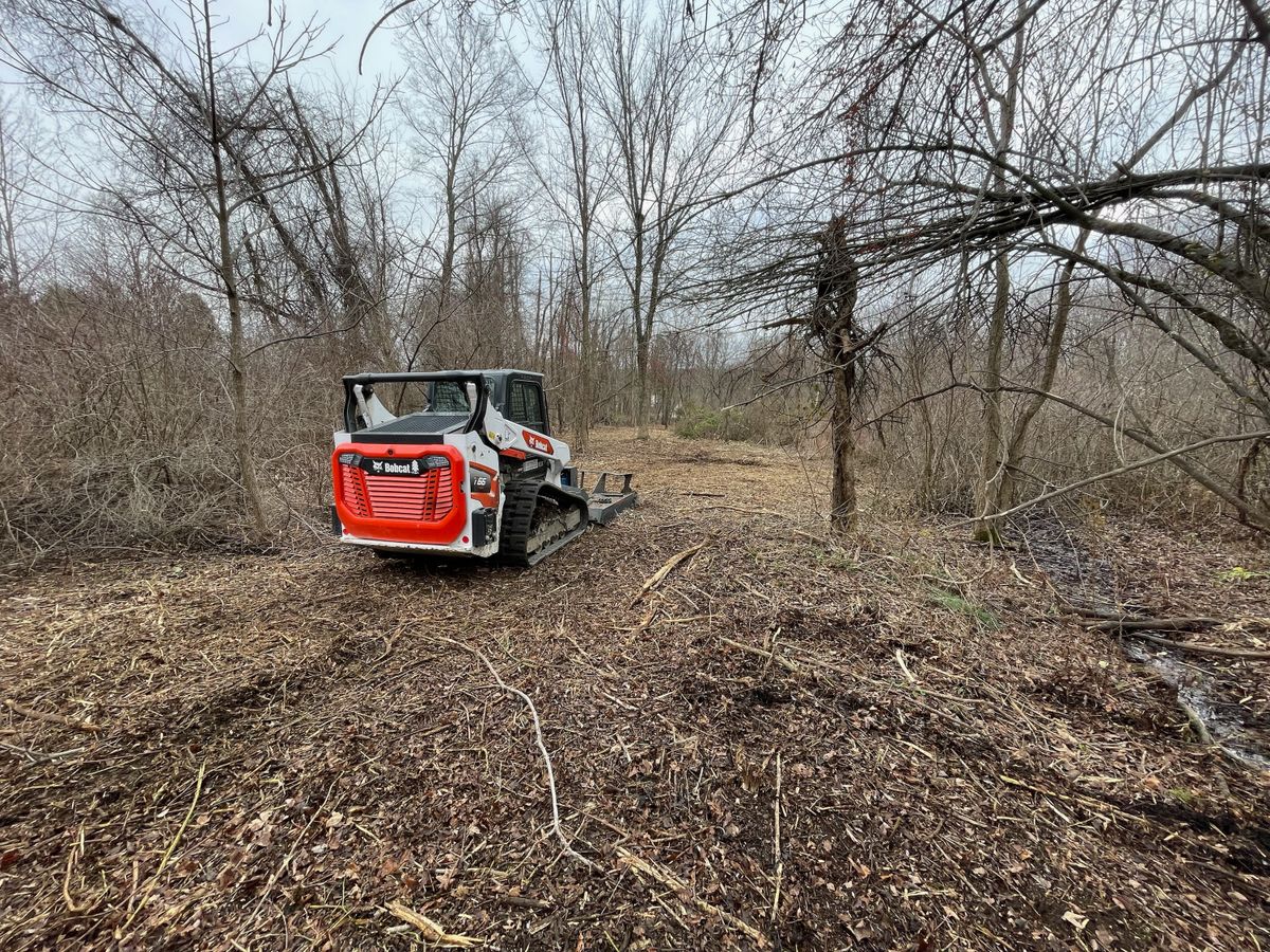 Brush Cutting and Land Clearing for NK Landscaping LLC in Dutchess County, NY