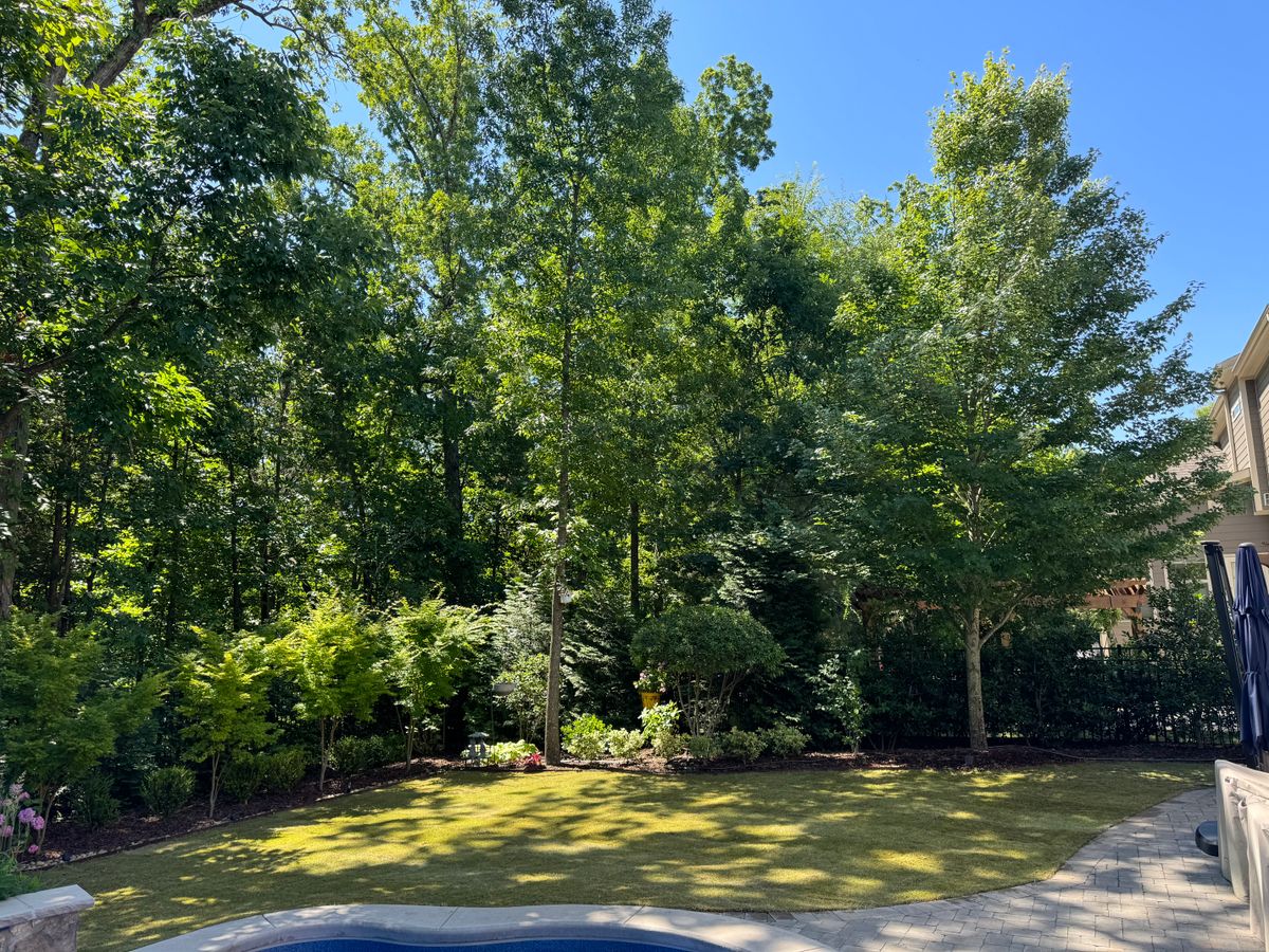 Sod Installation for Green Works Landscaping in Clayton, NC