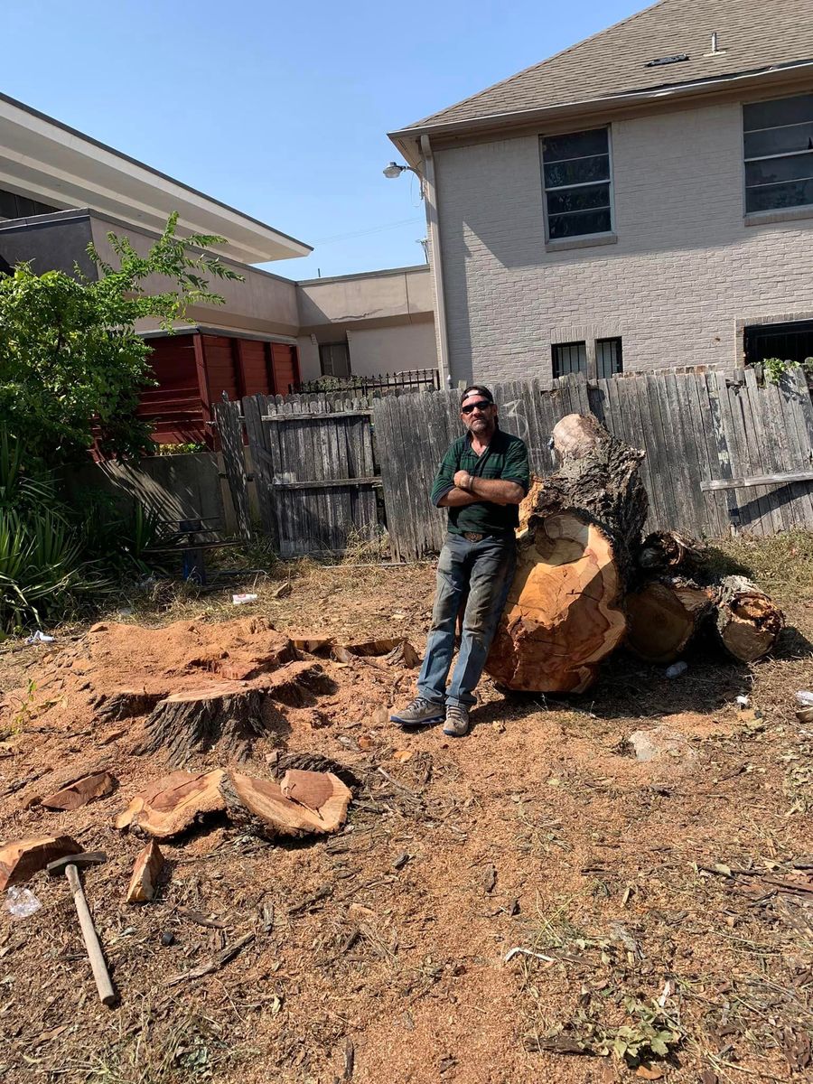 Stump Grinding & Removal for Teague Trees & Landscaping in Rendon, TX