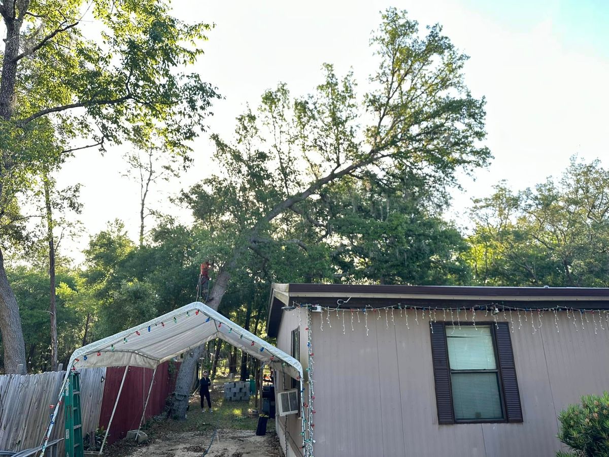 Storm Cleanup for Mr Timber in Ocala, FL