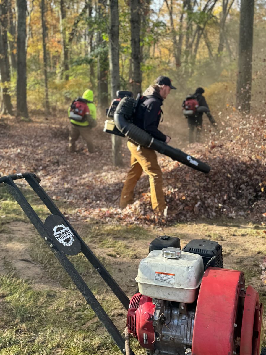 Fall Clean ups & Curbside Leaf Removal for Ace Landscaping in Trumbull, CT