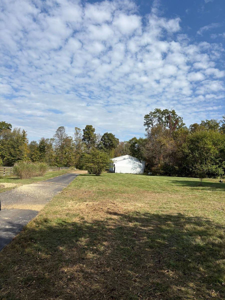 Tree Trimming for Dig-It Tree Company in Mason, OH