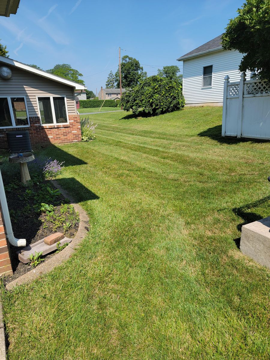 Weed Control for Trippin A-Lawn in Bethlehem, PA