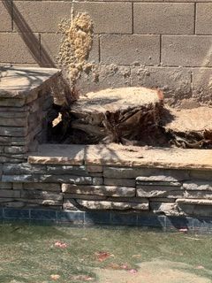 Stump Removal for Patriot Tree Service in Mesa, AZ