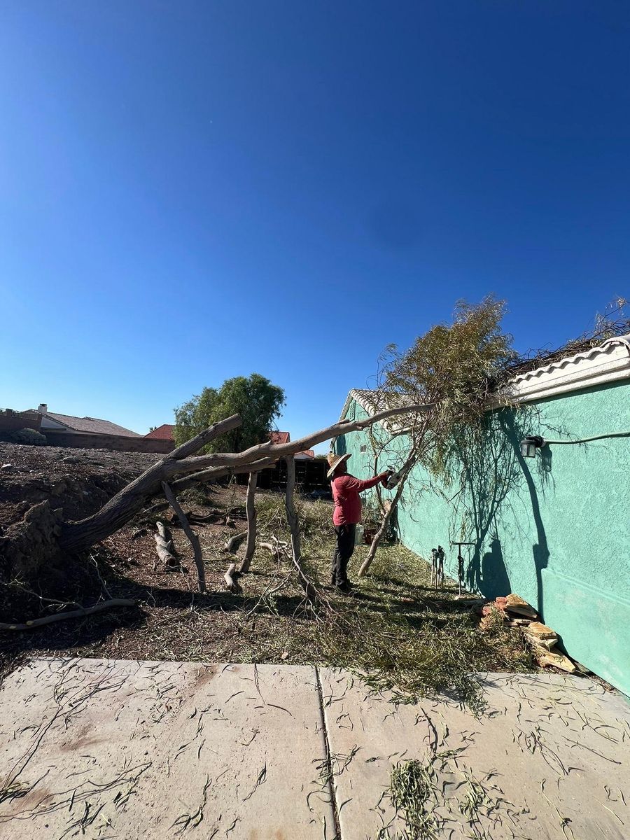 Landscape Design for Top Notch Landscape Services LLC in Mohave Valley, AZ