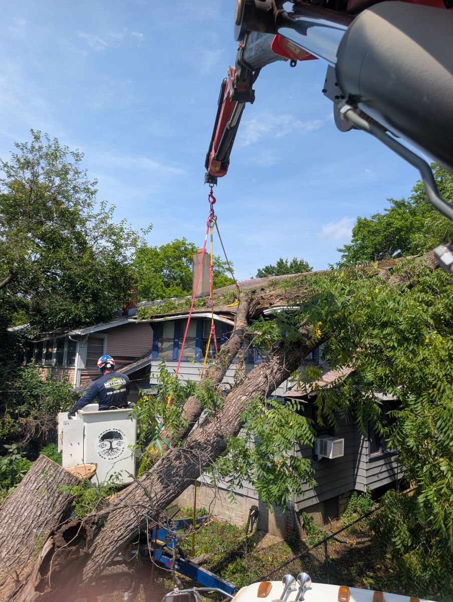 Tree Removal for Mitchell Tree Company in Lathrop, MO