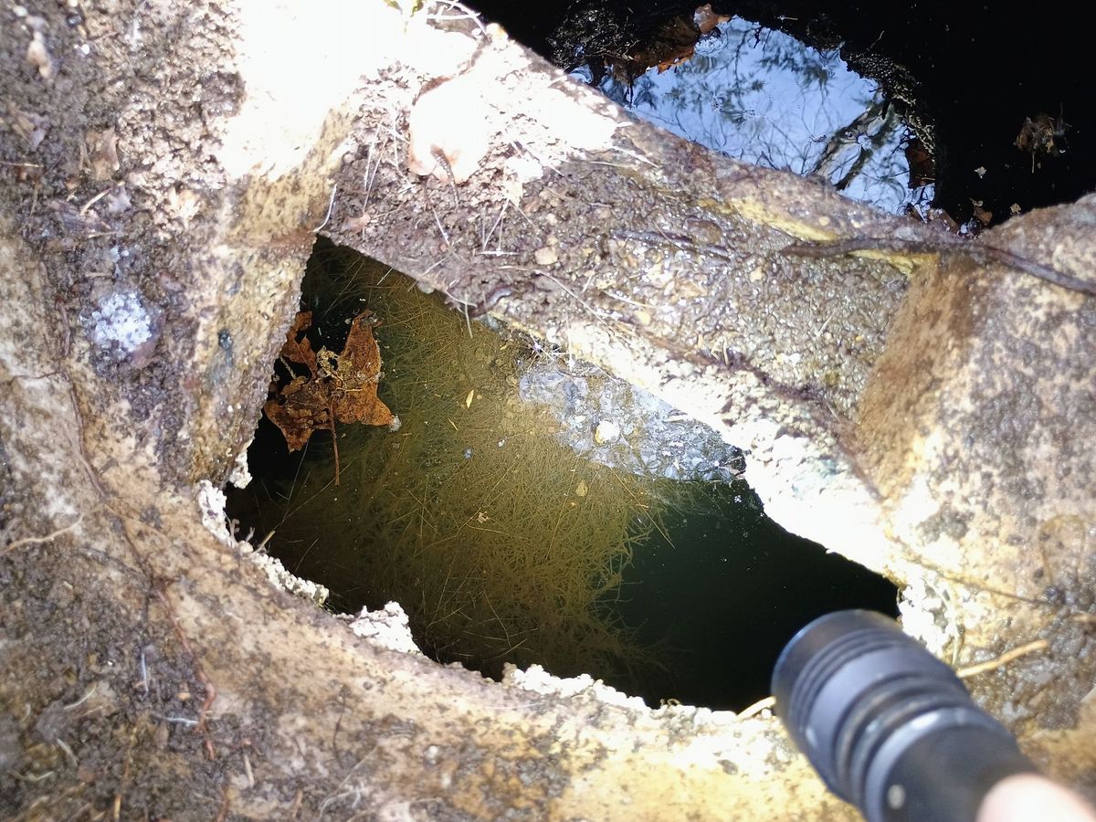 Septic Inspections for Cody's Excavation and Septic in Plainville, CT