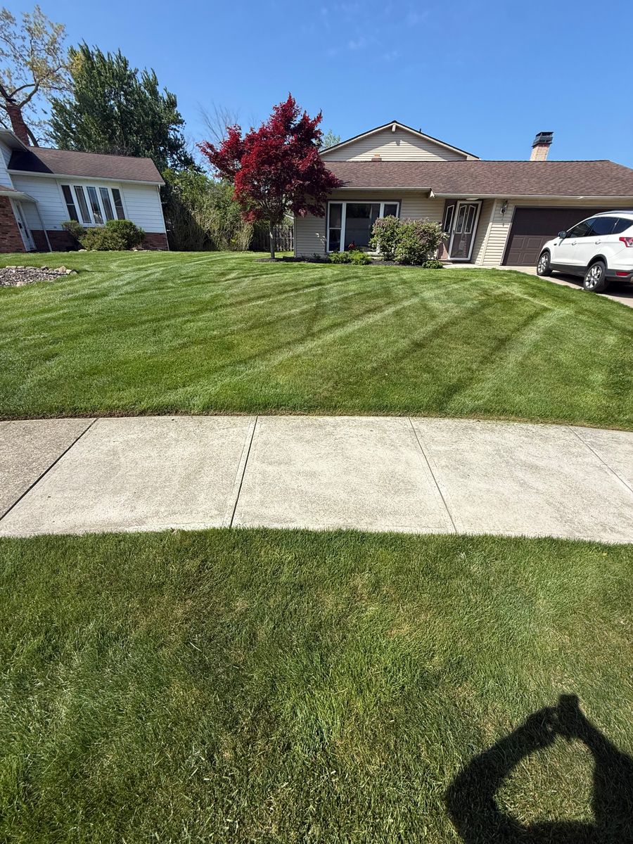 Mowing for Yard Theory in Willowick, OH