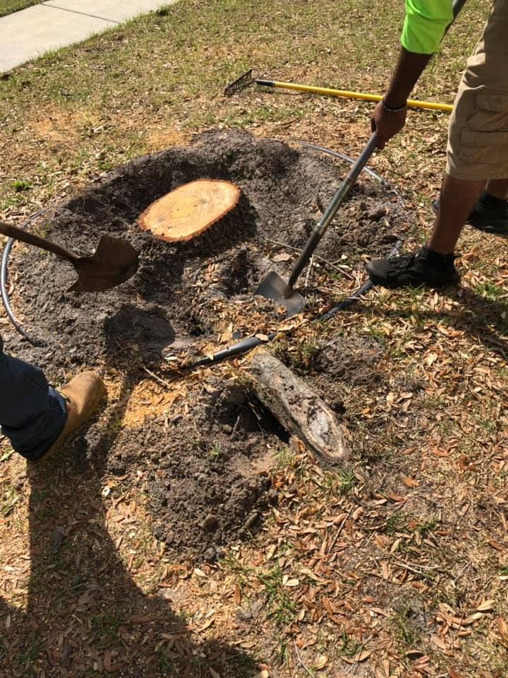 Stump Removal for Perfect MOs Landscaping in Hudson, FL