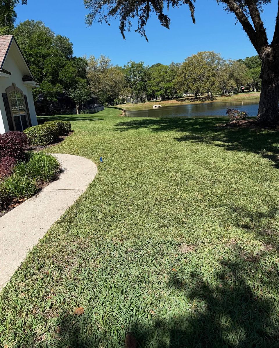 Shrub Trimming for Whole 9 Yards Services in Green Cove Springs, FL