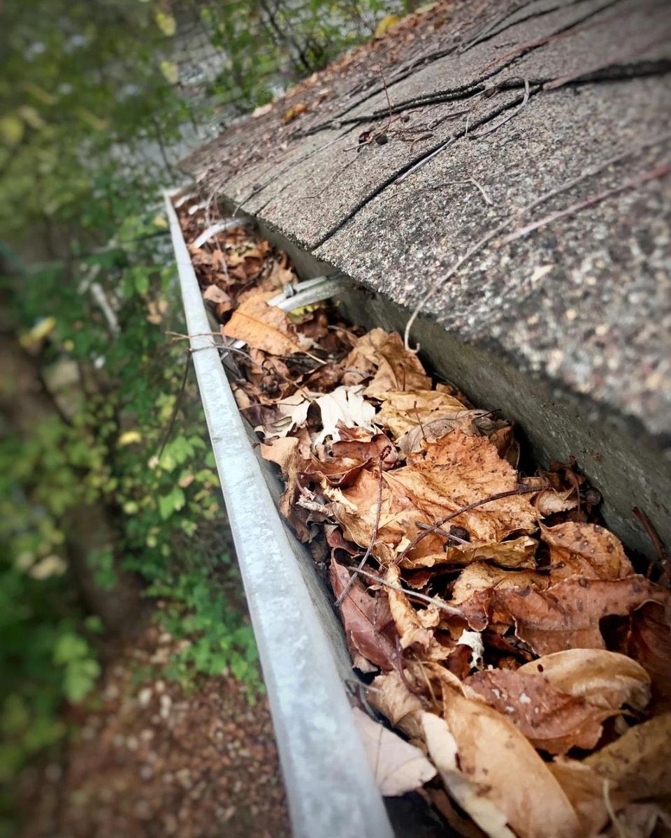 Leaf Cleanup for Giles Land Management, LLC in Hahira, GA