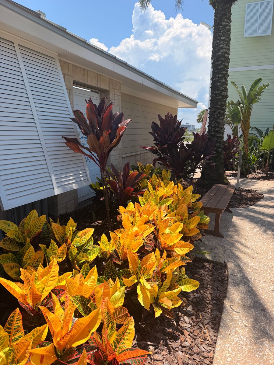 Landscaping Installations for C4 Ground Control in Oviedo, FL