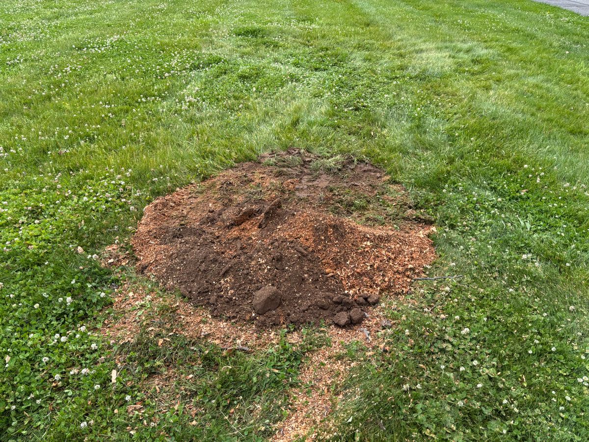Stump Removal for Conrad's Stump Removal in Columbus, IN