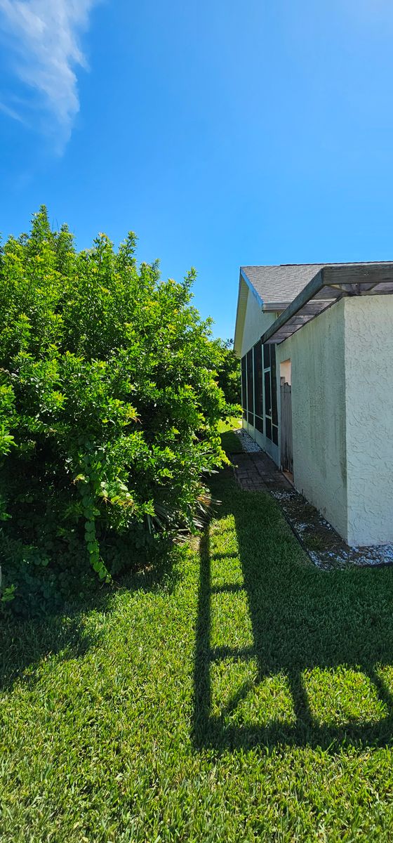 Tree Trimming for Powell Environmental Services in Deltona, FL