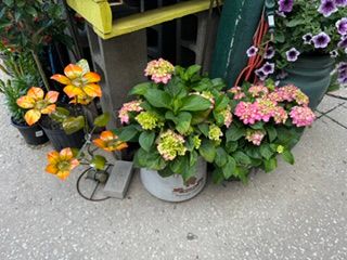 Gardening for Mayfield Landscaping in Staunton, IL