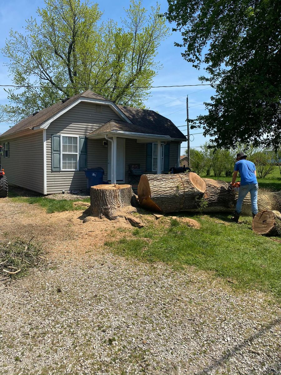 Stump Removal for Greenskeeper Property Management in Elizabethtown, KY