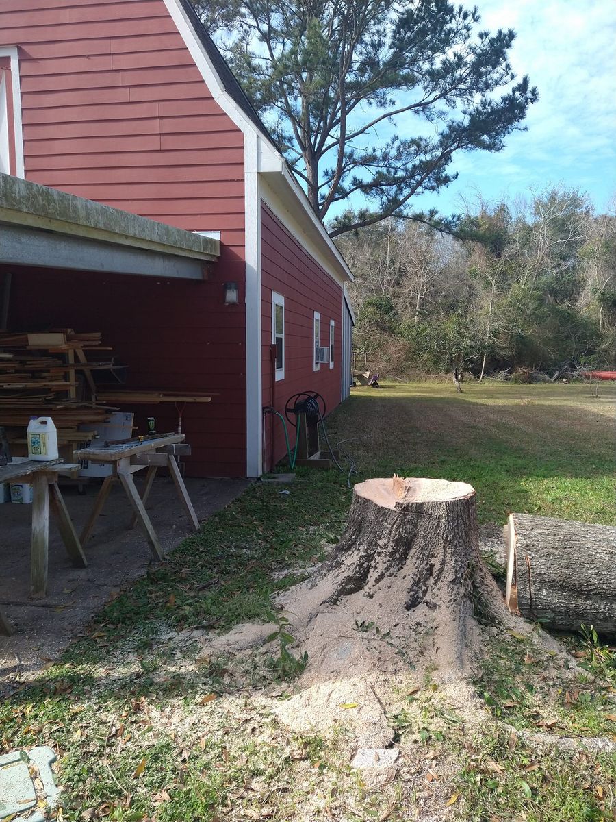 Stump Removal for Mitchell Maintenance in Dickinson, TX