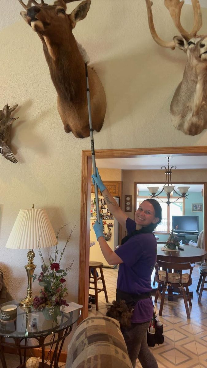 Residential Cleaning for Busy B's Professional Cleaning in Birch Run, MI