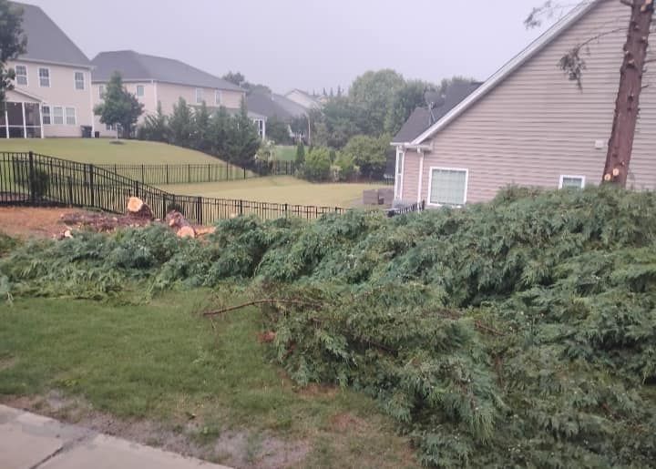 Tree Removal for All Tree Property Services in Charlotte, NC