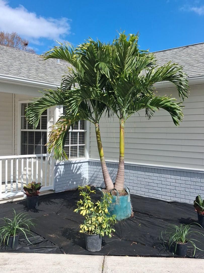 Lawn & Garden Services for Space Coast Property Maintenance and Management LLC in Melbourne, FL