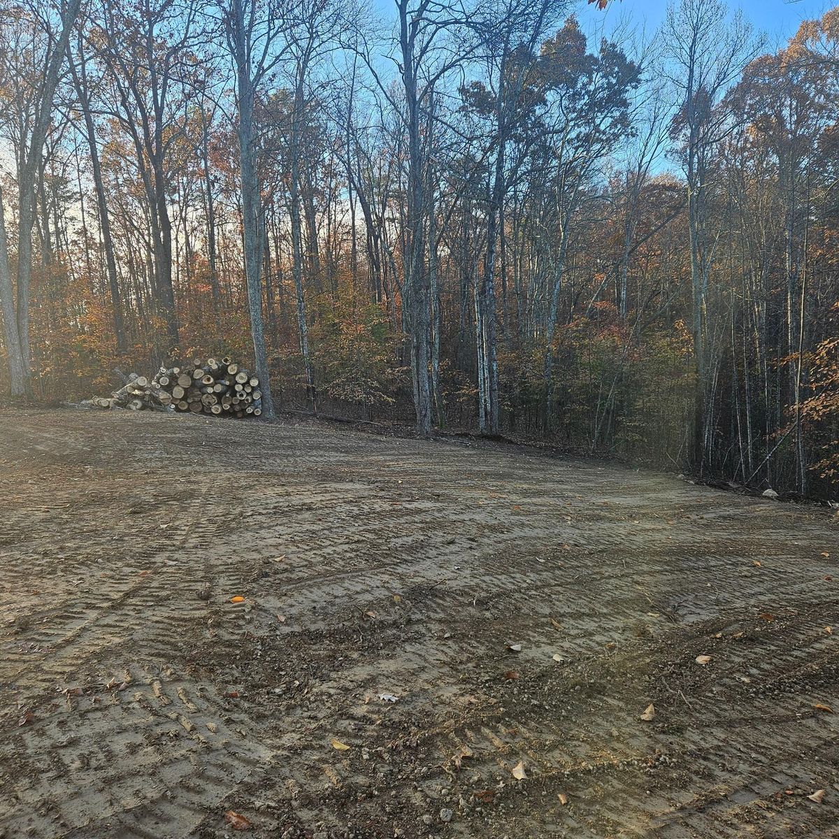 Forestry Mulching for Bledsoe & Sons Excavating and Developing in Dandridge, TN