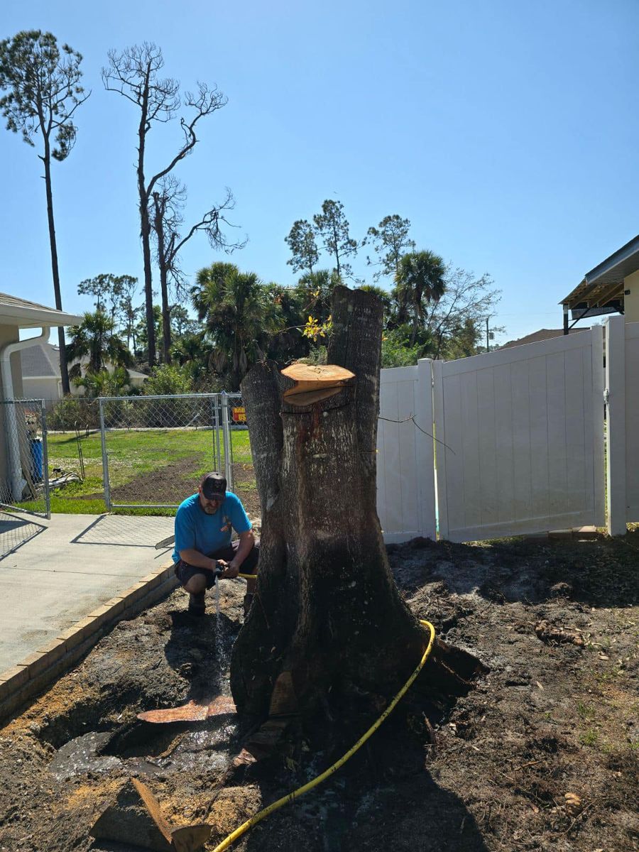 Tree Removal for Nick of Time Tree Service in North Port, FL