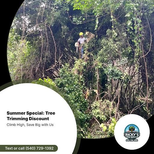 Tree Removal for Ricky's Tree Service & Property Care in Orange, VA
