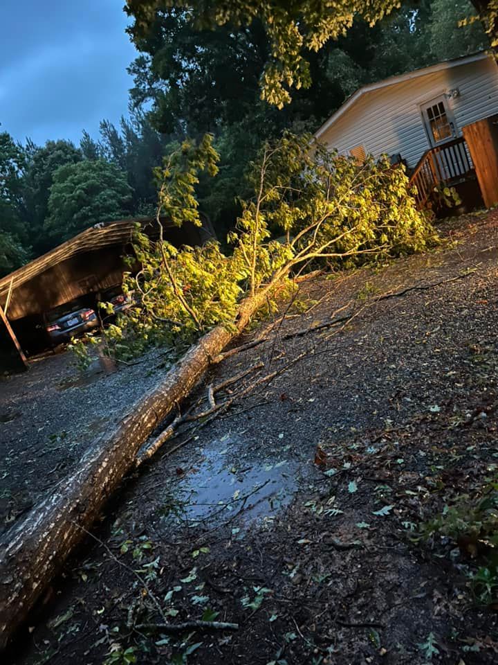Storm Services for DW’s Tree Service in Winston-Salem, NC
