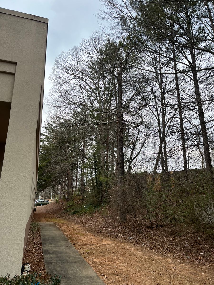 Tree Trimming for J&M Stump Grinders LLC in Douglasville, GA