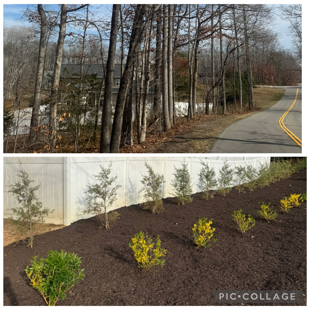 Mulch Installation for Branch Out Tree Care LLC in Fredericksburg, VA