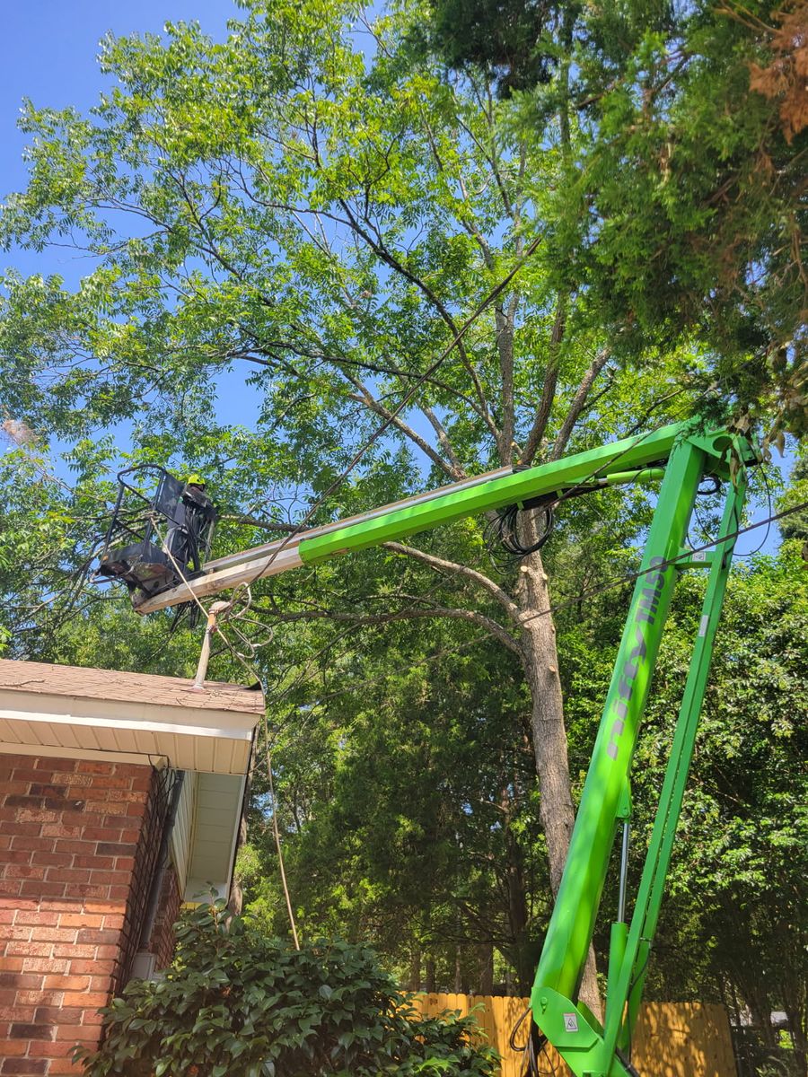 Tree Removal for Trees Unlimited of the CSRA in Augusta, GA