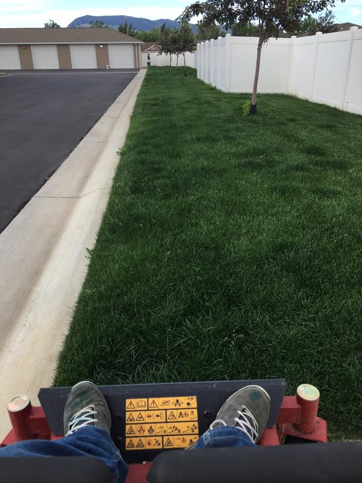 Fertilization for A+ Lawn and Trees LLC in Cody, WY