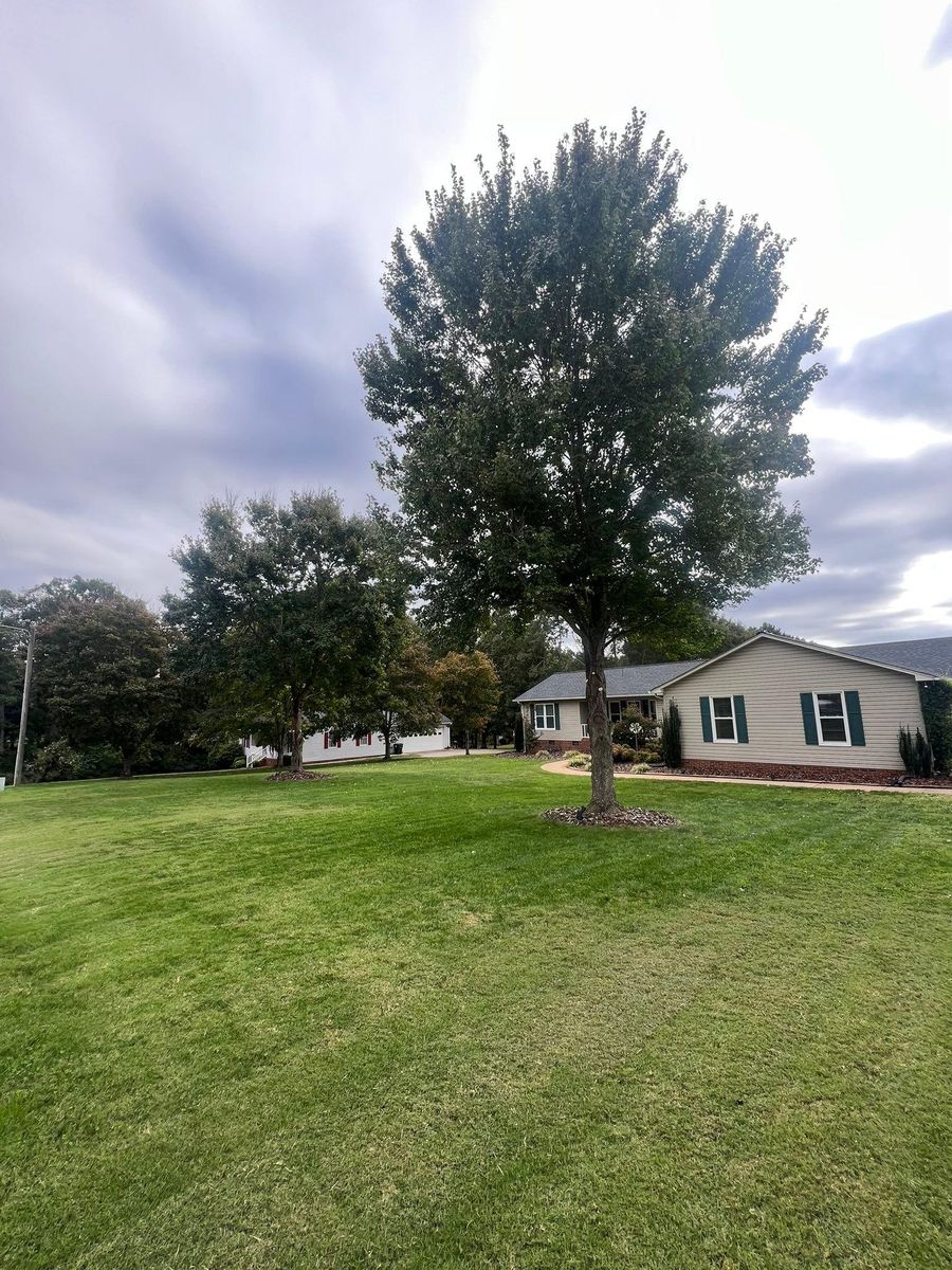 Fall Clean Up for Brooks Tree Service, LLC in Casar, NC