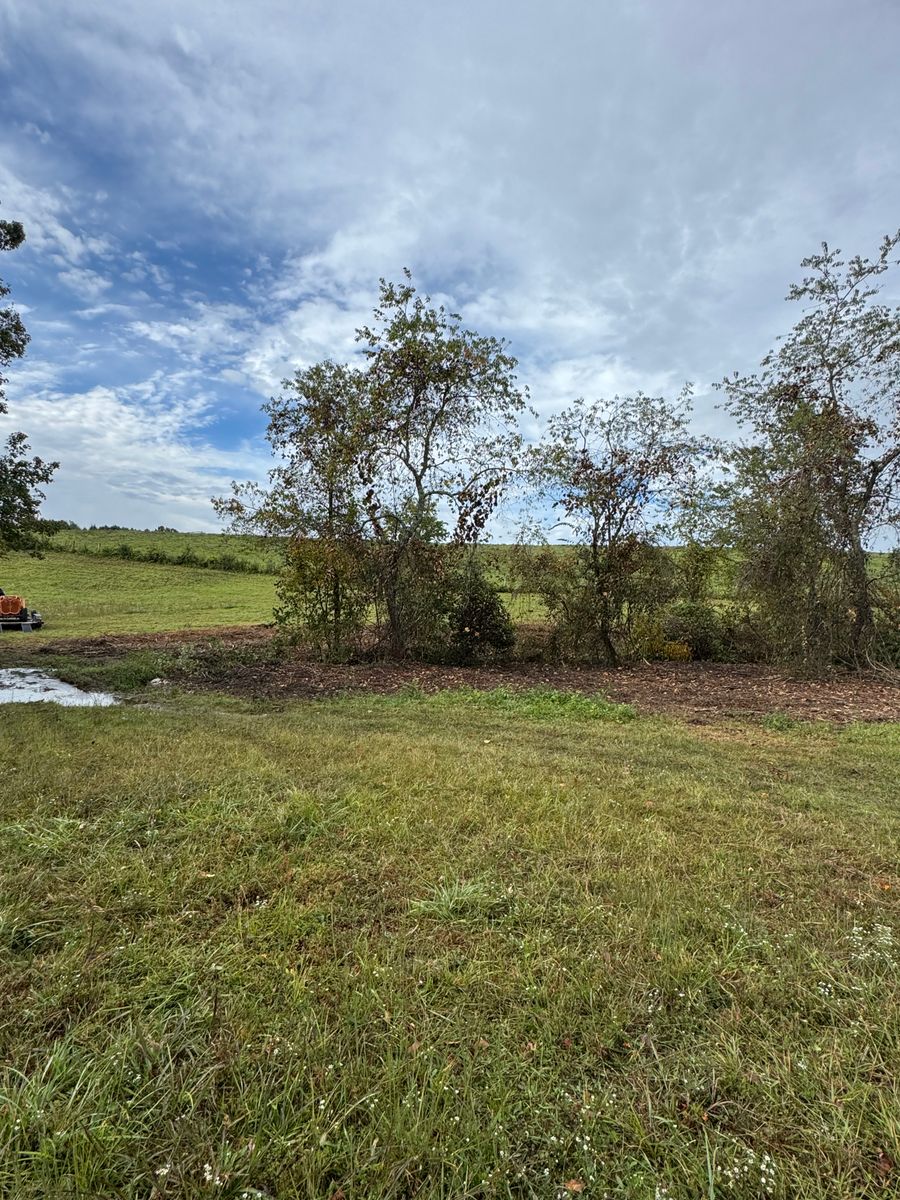 Steep Slope Mowing for Mountain Goat Land Management in Galax, VA