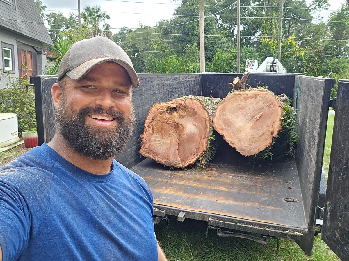 Tree Removal for Near Me Tree Service, Inc. in DeLand, FL