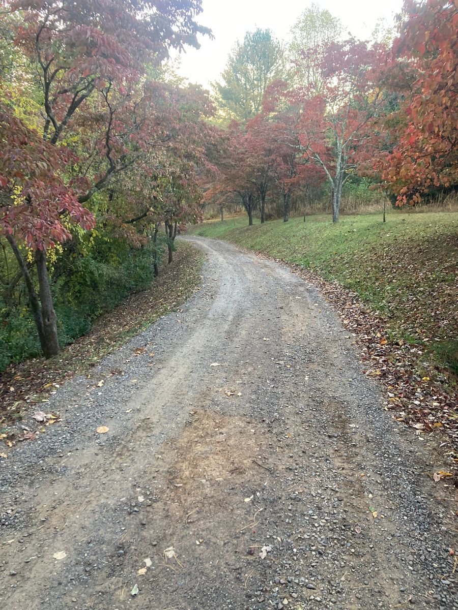 Driveway Regrading for 9999 Building and Renovation LLC in Warrenton, VA