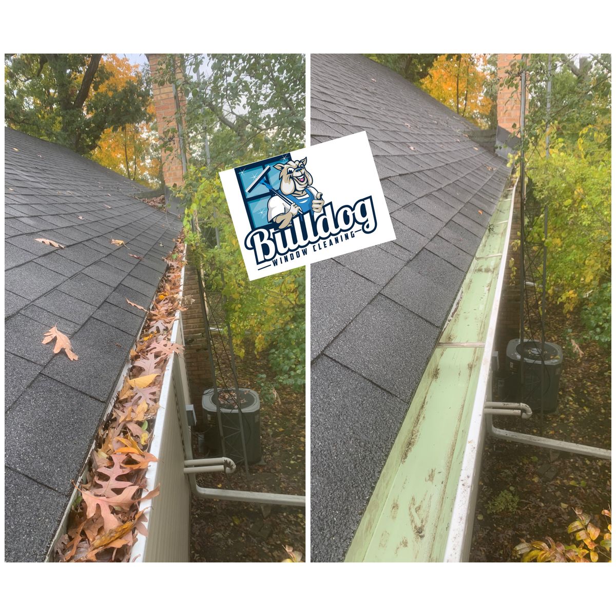 Gutter Cleaning for Bulldog Window Cleaning in Walworth County, Wisconsin