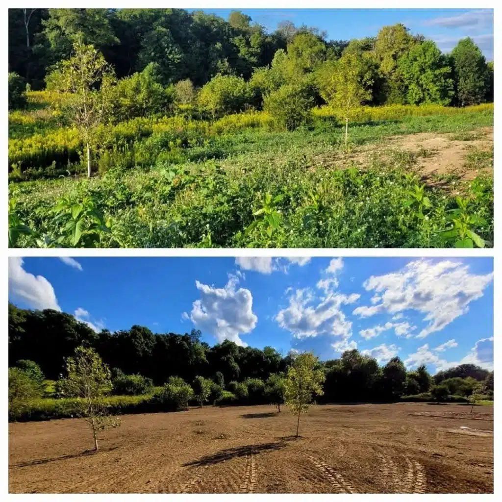 Dirt Work for Rogers Land Services in Hawkinsville, GA