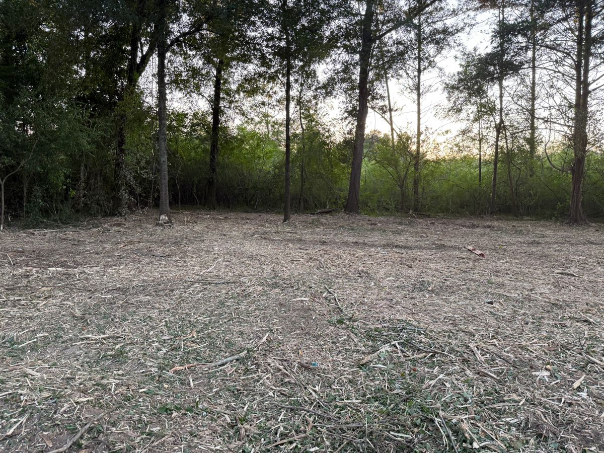 Tree Removal for T N L - Tree and Land Service in Reynolds, GA