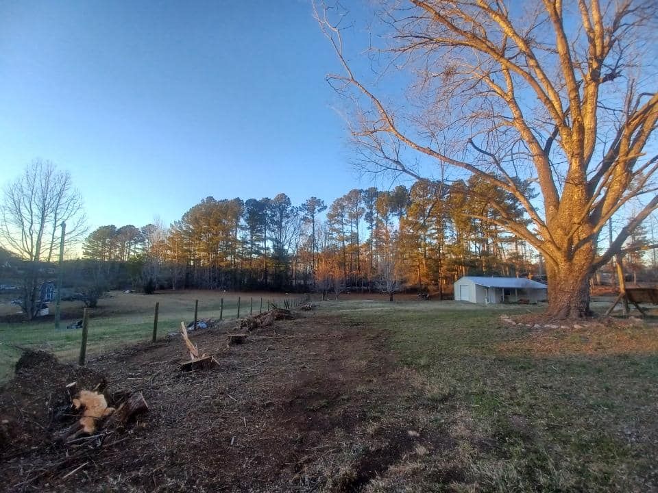 Tree Trimming for MTJ Tree Removal LLC in Zebulon, NC