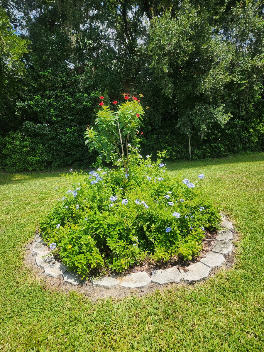 Landscape Design for Nate the Garden Guru in Orlando, FL