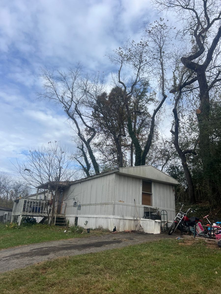 Tree Trimming for Ground To Sky Tree Care in Asheville, North Carolina
