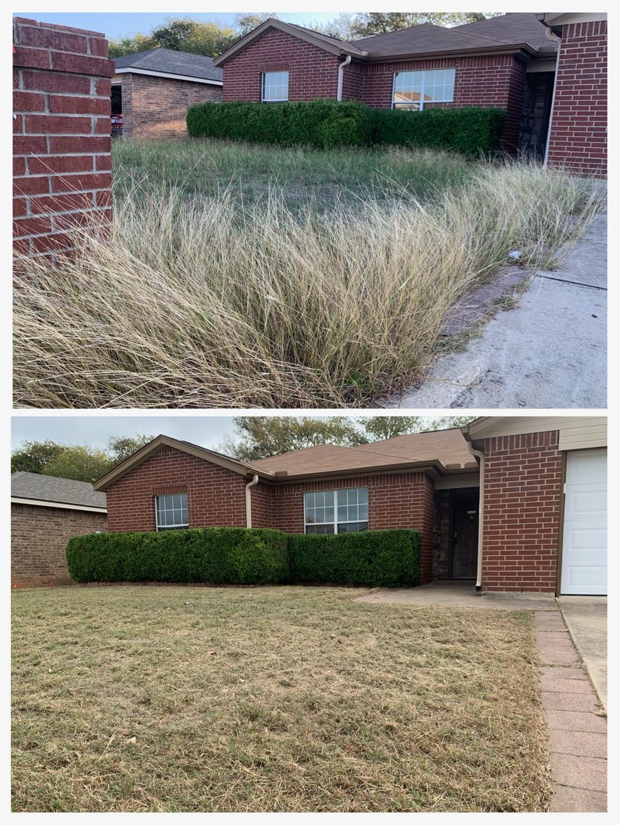 Other Lawn Services for Scalpel Lawn Service in Temple, TX